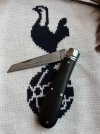 IMG_9967.jpeg