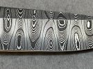 IMG_3272.jpeg
