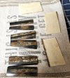 fossil walrus group.jpg