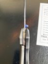 IMG_4301.jpeg