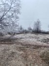 IMG_2124.jpeg