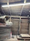 IMG_2135.jpeg