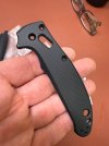 IMG_1337.jpeg