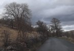 IMG_9182.JPG