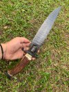 IMG_8131.jpeg