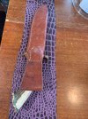 IMG_2391.jpeg