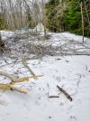 IMG_20250331_173443313_HDR~5.jpg