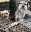 IMG_8676.jpeg