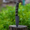 DSC_0497.jpg