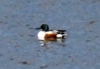 IMG_6313.jpeg