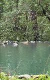 IMG_8826.jpeg