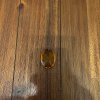 IMG_7563.jpeg