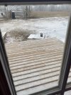 IMG_2231.jpeg