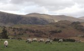 IMG_9434.JPG