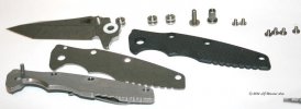 Eklipse - parts laid out_1.jpg