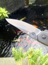 ImageUploadedByTapatalk1406128752.210338.jpg