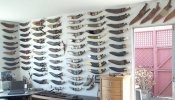 John Powell's wall.jpg