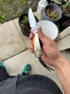 IMG_7244.jpeg
