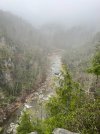 IMG_6809.jpg