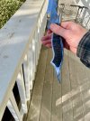 IMG_1886.jpeg