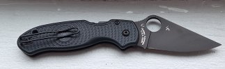 20250403_182028.jpg
