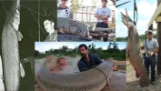 Biggest-GAr.webp