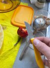 IMG_6694.jpeg