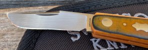 IMG_2003.jpeg