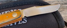 IMG_2005.jpeg