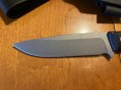 IMG_2511.jpeg
