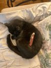 IMG_1461.jpeg