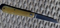 IMG_0263.jpeg