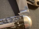 IMG_1232.jpeg