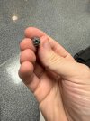 IMG_1006.jpeg