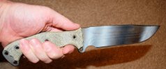 DSC_0128.jpg