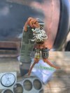 IMG_1220.jpeg