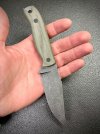 IMG_5033.jpeg