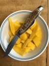 IMG_3181.jpeg