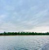 IMG_8016.jpeg