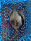 IMG_8049.jpeg