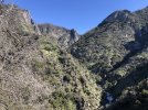 IMG_3207.jpeg