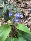 IMG_3233.jpeg