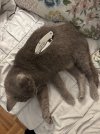 IMG_8288.jpeg
