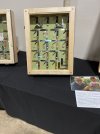 IMG_4316.jpeg