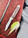 IMG_8043.jpeg