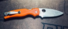 IMG_8046.jpeg