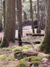 IMG_9632.jpeg