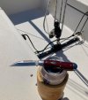 IMG_7985.jpeg