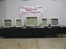 IMG_3496.JPG