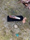 IMG_7301.jpeg